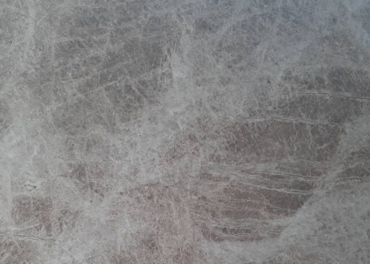 Taj-Mahal-Cappuccino-leather-307x201-cm-close-up-09.14-aspect-ratio-723-515